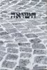 Pamięć Shoah. Kulturowe reprezentacje i praktyki upamiętnienia